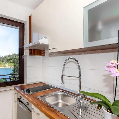 Bartulovici 公寓 *