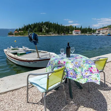 Bartulovici * בלאצ'ה