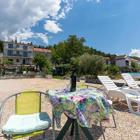 Daire Bartulovici Blace