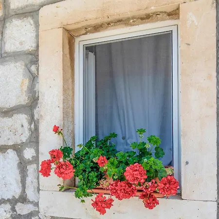 Bartulovici דירה